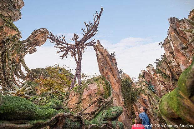 ディズニー・アニマルキングダム